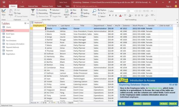 Individual Software PROFESSOR TEACHES OFFICE 2016 - Image 5