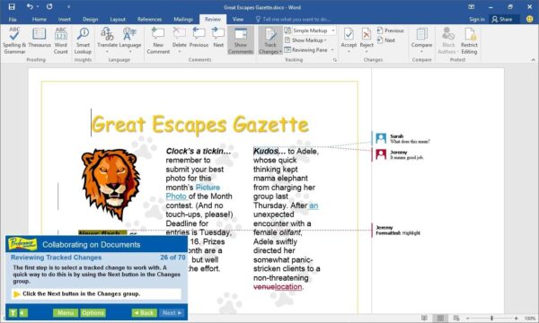 Individual Software PROFESSOR TEACHES OFFICE 2016 - Image 6
