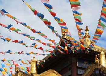 Listening to the world’s wonders: undertaking shares lots of of audible gems