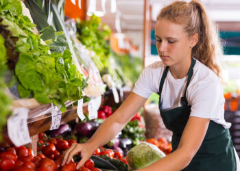 Teen Summer season Job Market: 4 Workarounds to Break By