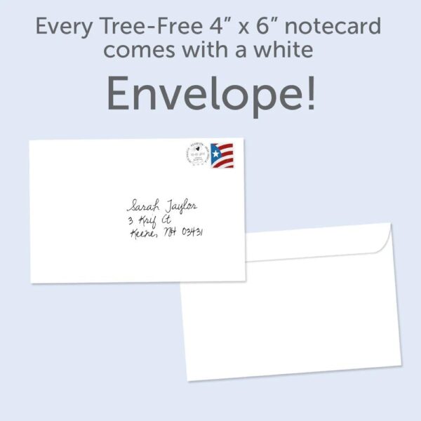 Tree-Free Greetings Soaring Bald Eagle All Occasion Cards - 12 Recycled 4x6 Notecards & White Envelopes, Thick Cardstock, Sustainably Made in USA - Beautiful Bird at Sunset - Image 3