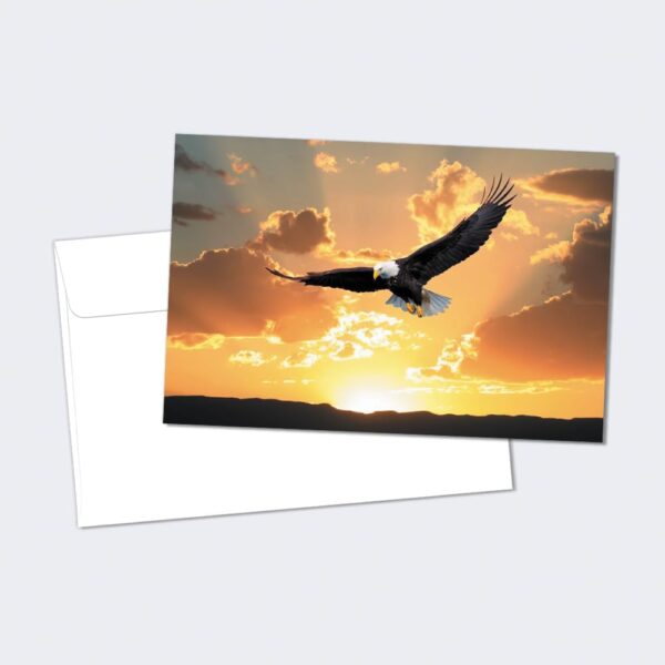 Tree-Free Greetings Soaring Bald Eagle All Occasion Cards - 12 Recycled 4x6 Notecards & White Envelopes, Thick Cardstock, Sustainably Made in USA - Beautiful Bird at Sunset