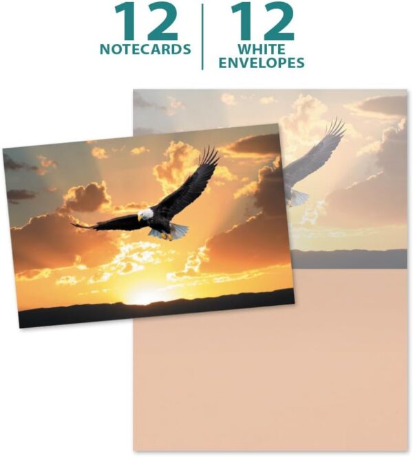 Tree-Free Greetings Soaring Bald Eagle All Occasion Cards - 12 Recycled 4x6 Notecards & White Envelopes, Thick Cardstock, Sustainably Made in USA - Beautiful Bird at Sunset - Image 5
