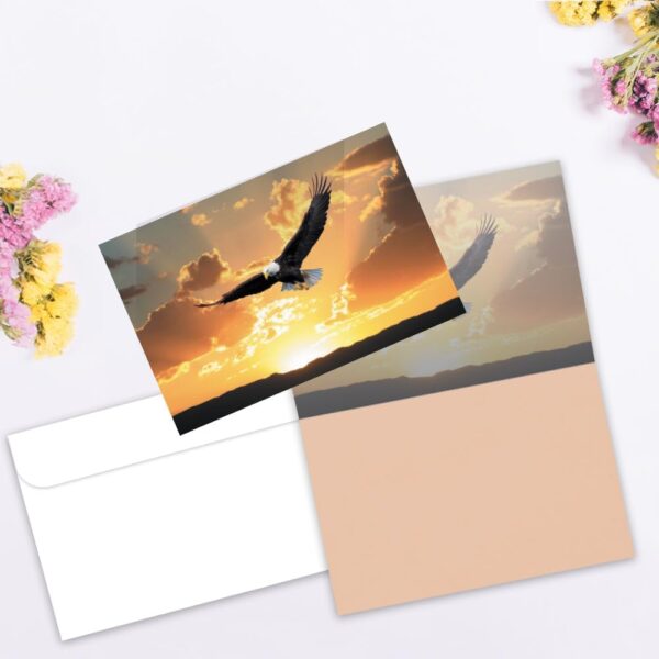 Tree-Free Greetings Soaring Bald Eagle All Occasion Cards - 12 Recycled 4x6 Notecards & White Envelopes, Thick Cardstock, Sustainably Made in USA - Beautiful Bird at Sunset - Image 2