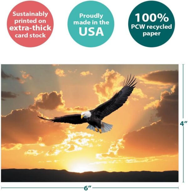 Tree-Free Greetings Soaring Bald Eagle All Occasion Cards - 12 Recycled 4x6 Notecards & White Envelopes, Thick Cardstock, Sustainably Made in USA - Beautiful Bird at Sunset - Image 4