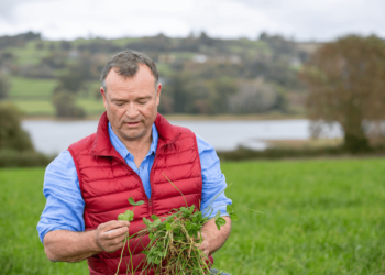 Regenerative agriculture isn’t misty-eyed nostalgia, it’s the longer term