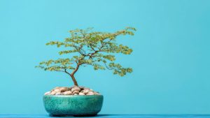 Tips on how to retain CSMs when you may’t promote them to management