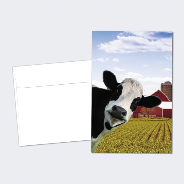 Tree-Free Greetings EcoNotes 12 Count Cow Photobomb All Occasion Notecard Set with Envelopes, 4 x 6 Inches (FS56364)