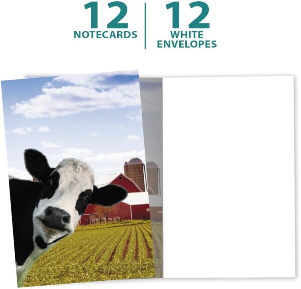 Tree-Free Greetings EcoNotes 12 Count Cow Photobomb All Occasion Notecard Set with Envelopes, 4 x 6 Inches (FS56364) - Image 5