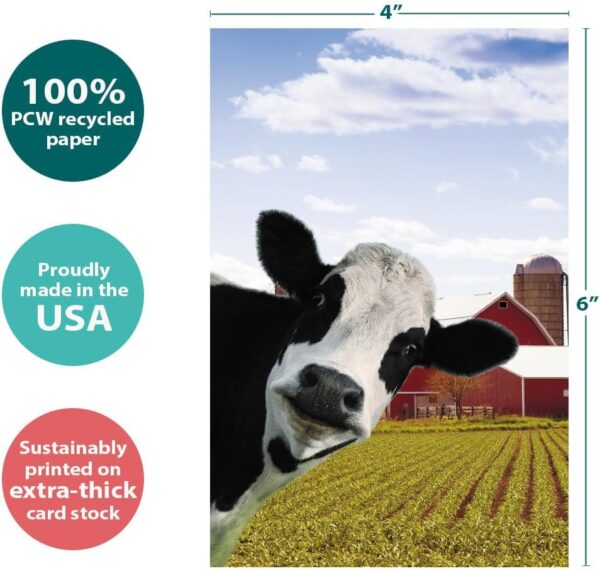 Tree-Free Greetings EcoNotes 12 Count Cow Photobomb All Occasion Notecard Set with Envelopes, 4 x 6 Inches (FS56364) - Image 4