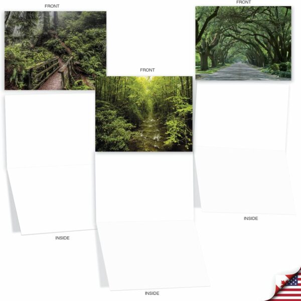 The Best Card Company 10 Assorted Thank You Note Cards Boxed Set 4 x 5.12 Inch with Envelopes (10 Designs, 1 Each) Nature Trails M6467TYG - Image 4
