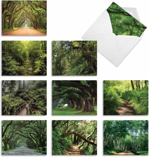 The Best Card Company 10 Assorted Thank You Note Cards Boxed Set 4 x 5.12 Inch with Envelopes (10 Designs, 1 Each) Nature Trails M6467TYG