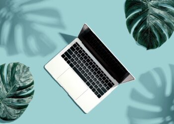 Which Print On Demand Platform Is Finest for You?