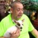 How a two-legged Chihuahua saved his proprietor from a coronary heart assault