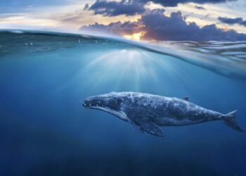 What went proper this week: the excellent news that issues