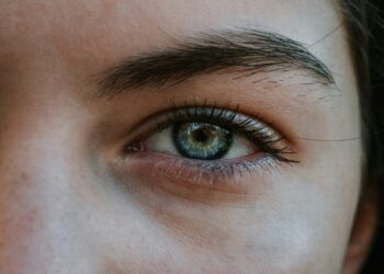 Getting a Skilled Iris Photograph Remodeled the Means I Costume