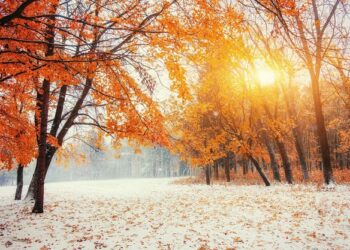 Uplifting, Humorous and Inspirational Sayings