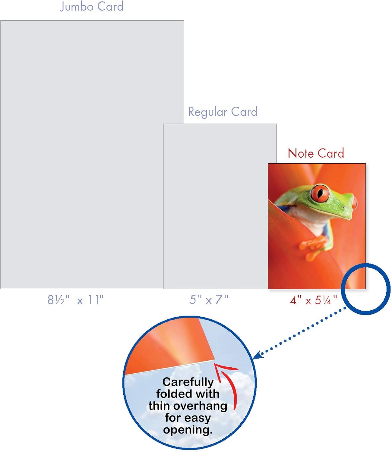 The Best Card Company - 10 Boxed Thank You Cards w/Envelopes, Animal Appreciation Stationery Set for Men Women Kids - Frog Days M9637TYG - Image 7