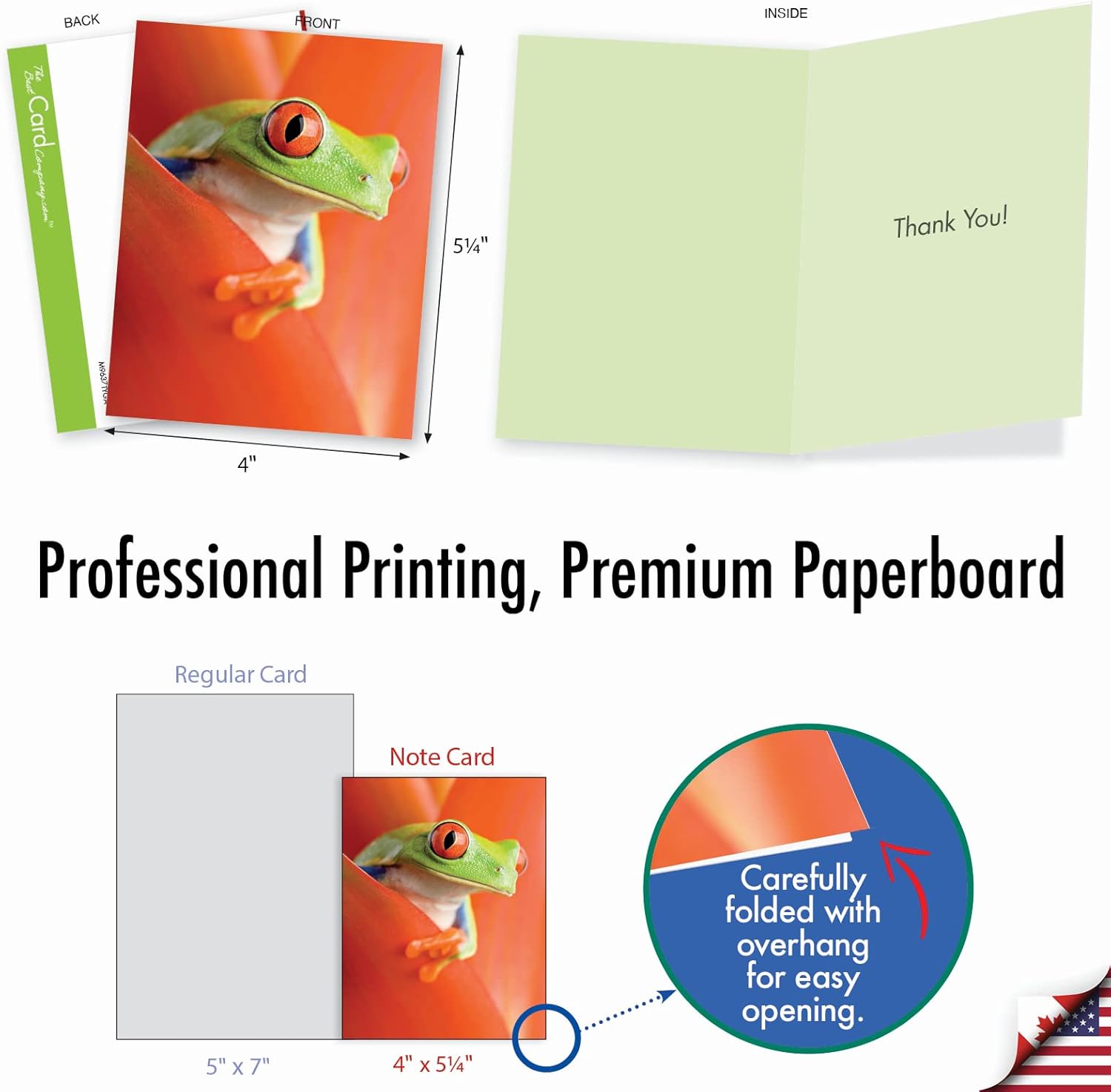 The Best Card Company - 10 Boxed Thank You Cards w/Envelopes, Animal Appreciation Stationery Set for Men Women Kids - Frog Days M9637TYG - Image 2