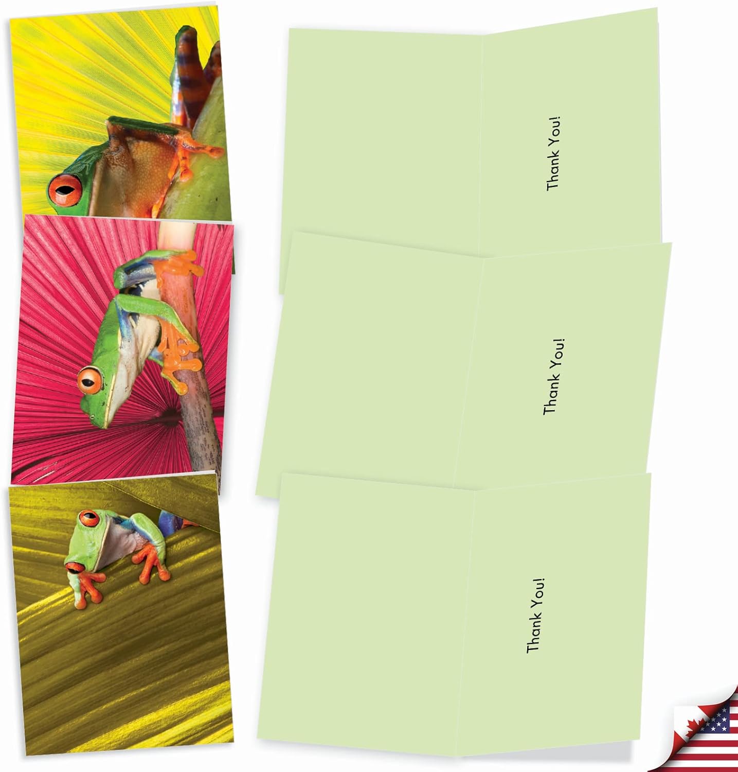 The Best Card Company - 10 Boxed Thank You Cards w/Envelopes, Animal Appreciation Stationery Set for Men Women Kids - Frog Days M9637TYG - Image 3