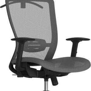 FLEXISPOT Ergonomic Office Chair, High Back Mesh Swivel Computer Chair, Executive Office Desk Chairs, with Adjustable Lumbar Support/2D Headrest/Lockable Backrest, OC3 Mesh Seat, Gray