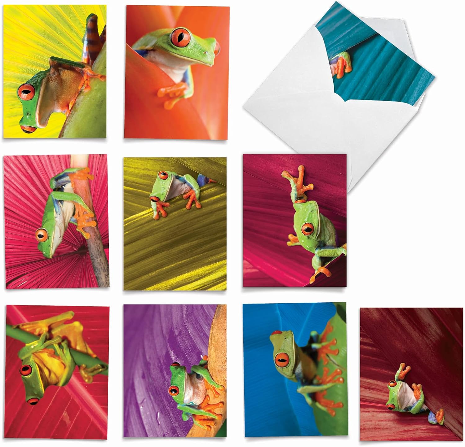 The Best Card Company - 10 Boxed Thank You Cards w/Envelopes, Animal Appreciation Stationery Set for Men Women Kids - Frog Days M9637TYG