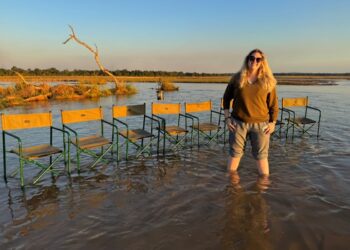 Occurring a Safari Helped Me Relaxation and Reset My Thoughts