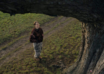 Nature’s voice? Timber converse up in AI-powered experiment