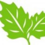 Serving to School College students Transfer from Surviving to Thriving – Constructive Psychology Information