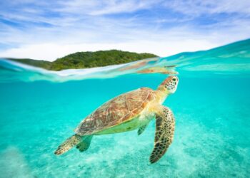 What went proper this week: the excellent news that issues