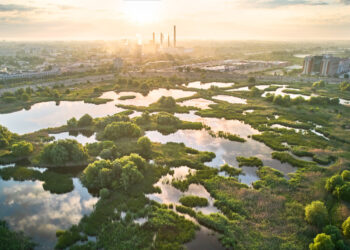 What went proper this week: the excellent news that issues