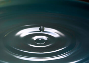 10 Selections in Life We Will All Remorse in 10 Years (If We Aren’t Conscious)