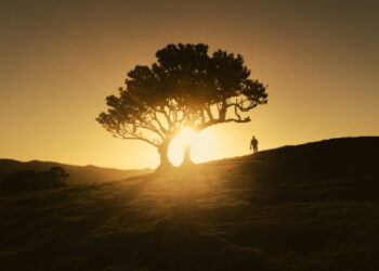 20 Issues My Now 82-Yr-Previous Father Was Proper About