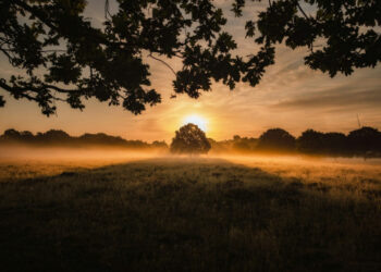 40 Quotes for Letting Go and Dealing with All of the Issues You Can’t Management in Life