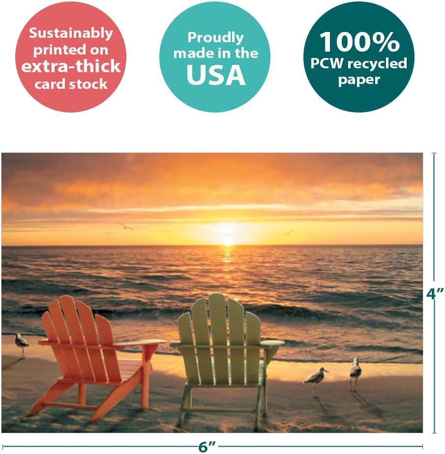 Tree-Free Greetings EcoNotes 12 Count Glorious Day Sunset All Occasion Notecard Set with Envelopes, 4 x 6 Inches (FS56238) - Image 4