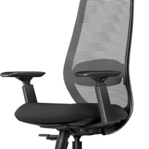 ProtoArc Ergonomic Office Chair – EC200 High-Back Mesh Computer Chair with Lumbar Support, 3D Adjustable Headrest & Sliding Seat for 8+ Hour Comfort, Big & Tall Home Office Desk Chairs - Black