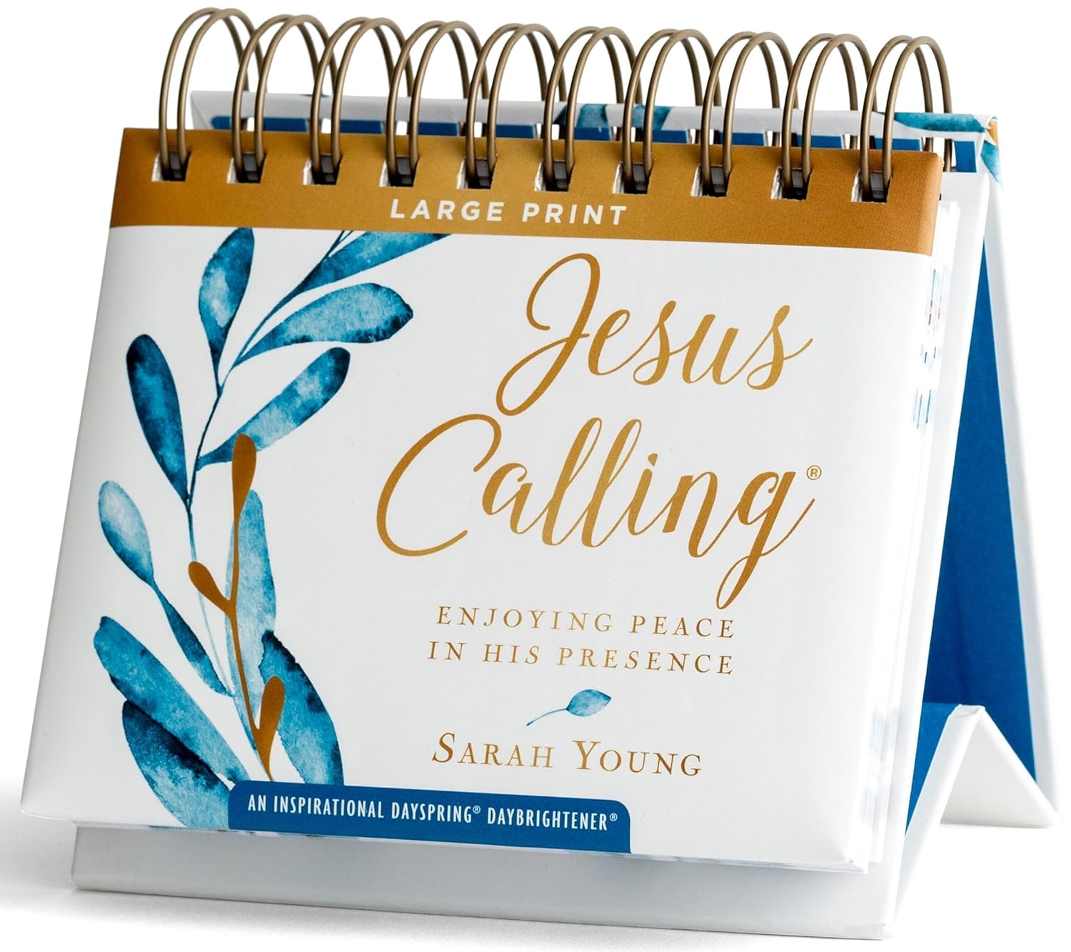 Jesus Calling: Enjoying Peace in His Presence Large Print (A DaySpring Inspirational DayBrightener) - Perpetual Calendar
