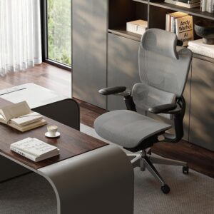 Ergonomic Office Chair, Mesh Home Office Desk Chair with Adjustable Lumbar Support, 300 lbs Computer Chair with Headrest, 5D Armrest,90-130°Tilt, BIFMA Certified, Model Zen (Grey)