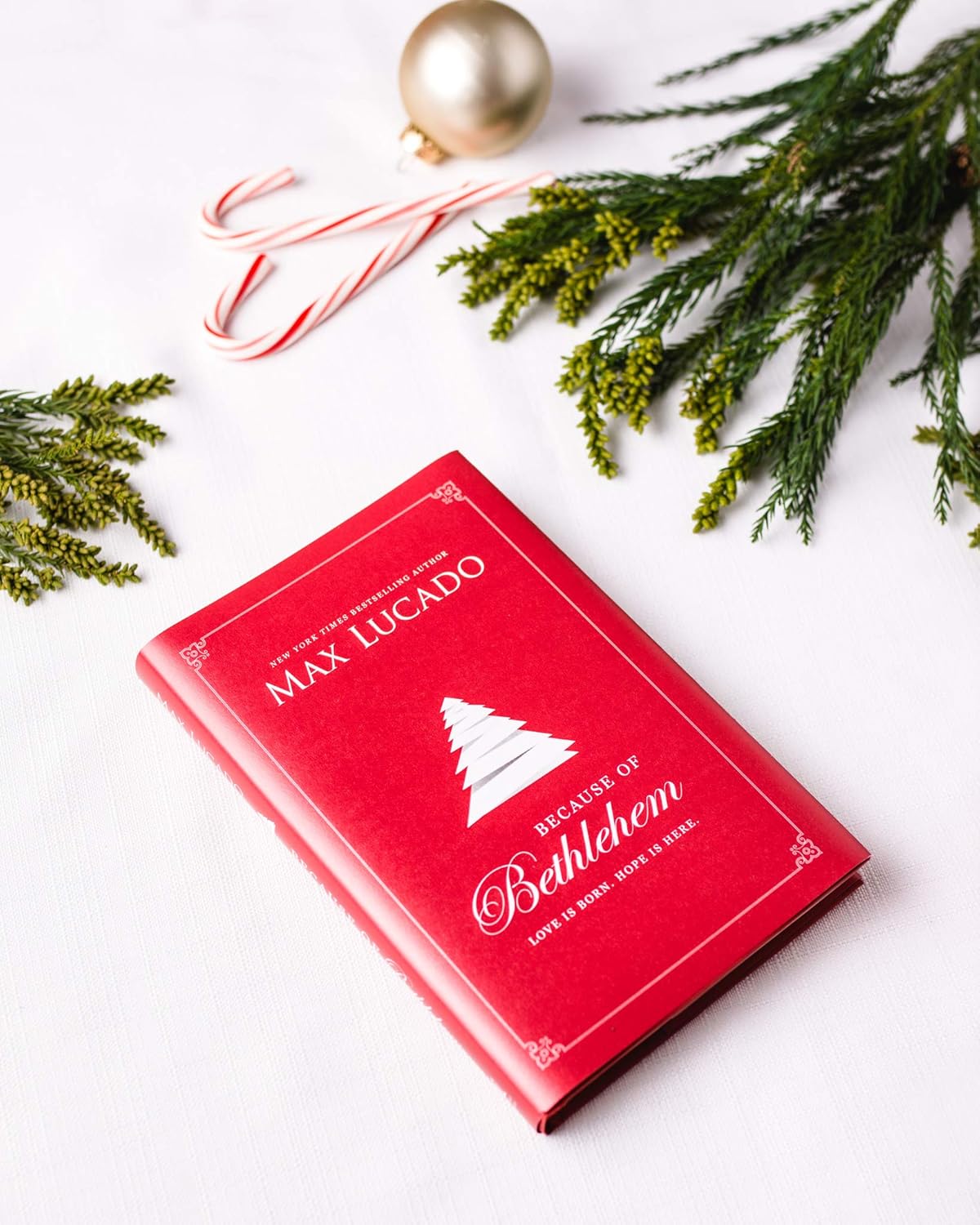 Because of Bethlehem: Love Is Born, Hope Is Here - Image 6