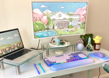 How I Created My Dream Work-From-Dwelling Workplace on a Price range