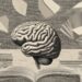 Why Lifelong Studying Retains Your Mind Sharp as You Age |