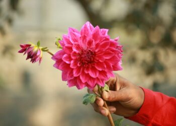 Gretchen Rubin’s Items that Maintain Giving All 12 months Lengthy