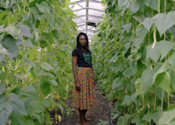 The pictures sequence celebrating the individuals cultivating hope from soil to sea